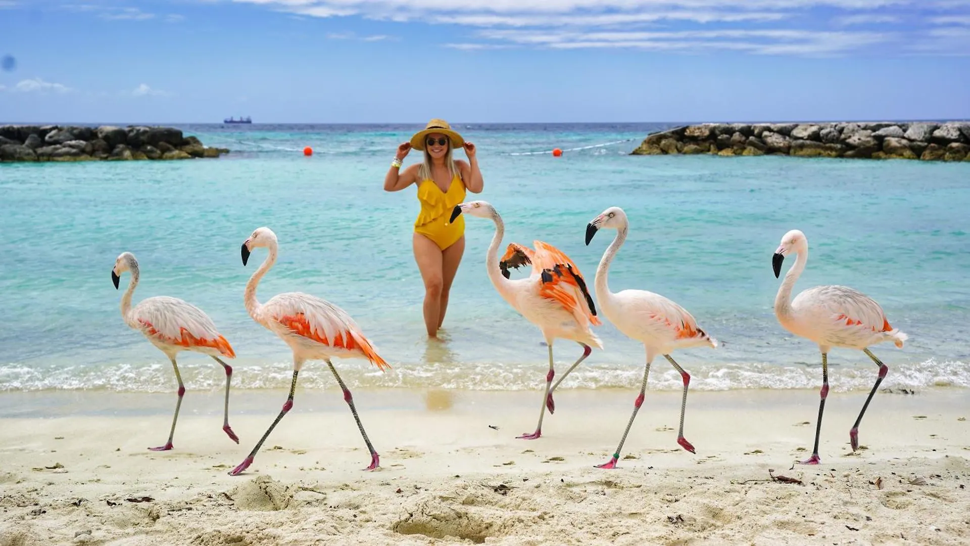 Palma Real 60 Vila Palm Beach 0*,  Aruba
